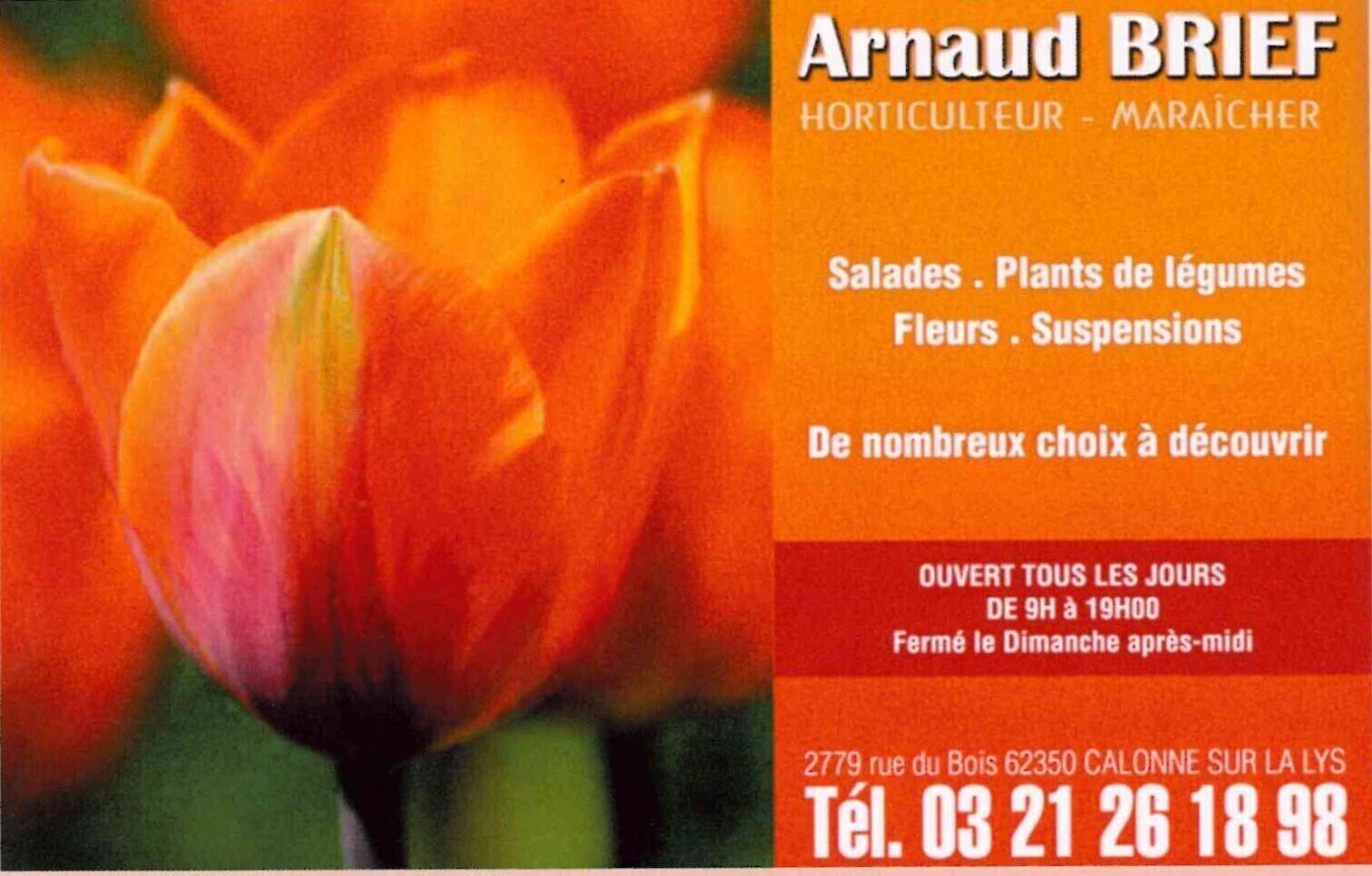 BRIEF Arnaud