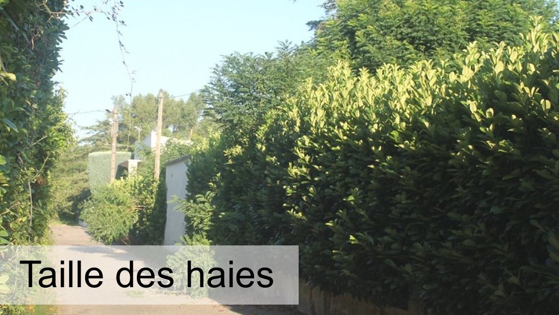 haie