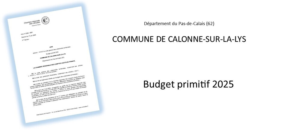 Budget 2025