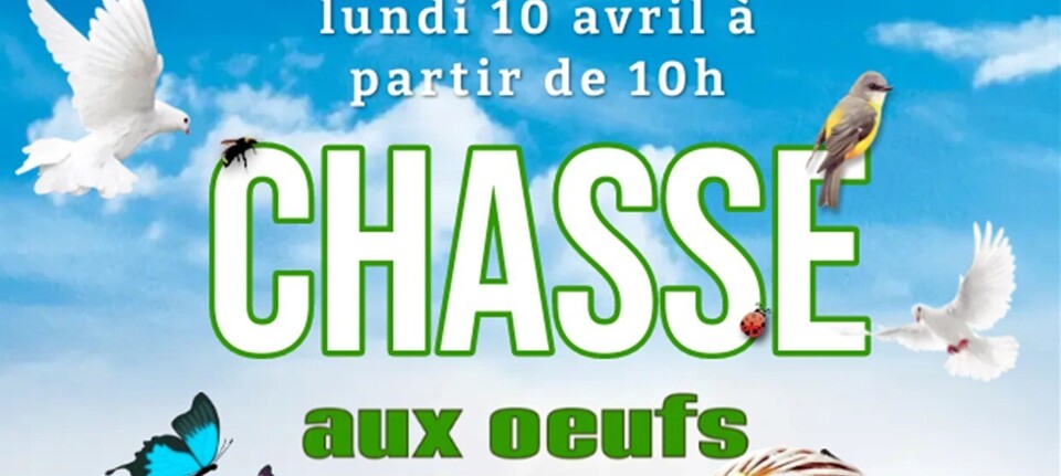 Chasse aux œufs 2023